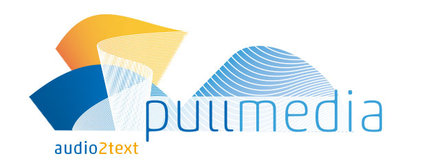 Wortbildmarke von „Pullmedia“