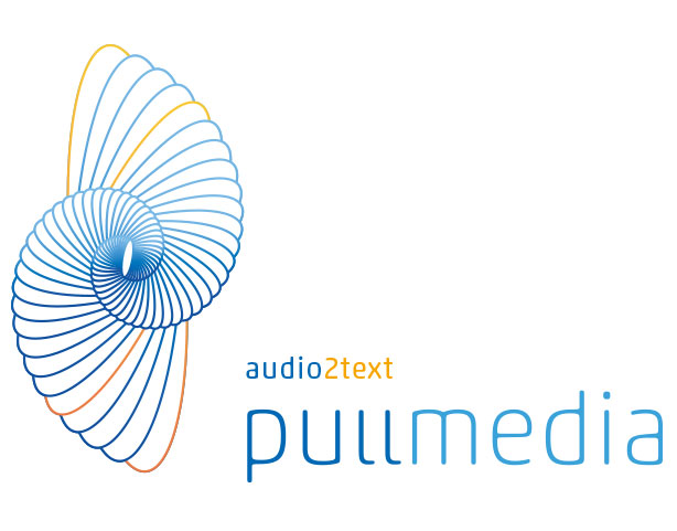 Wortbildmarke von „Pullmedia“