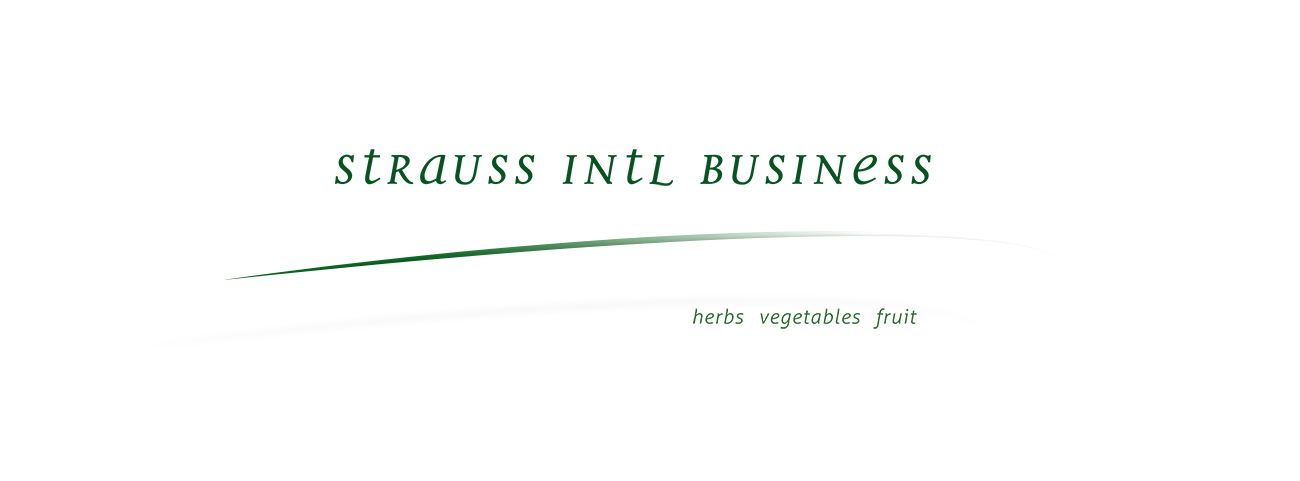 Wortbildmarke von „Strauss Intl.“