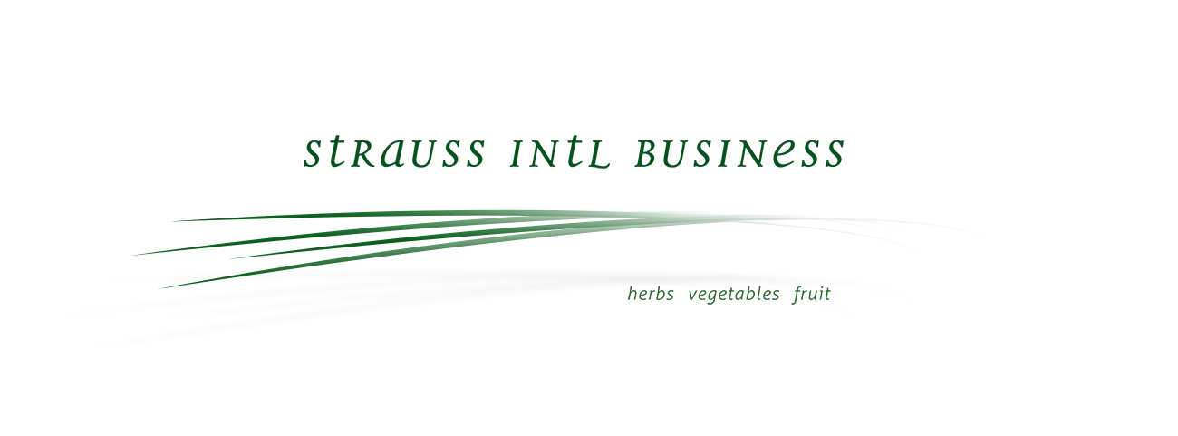 Wortbildmarke von „Strauss Intl.“