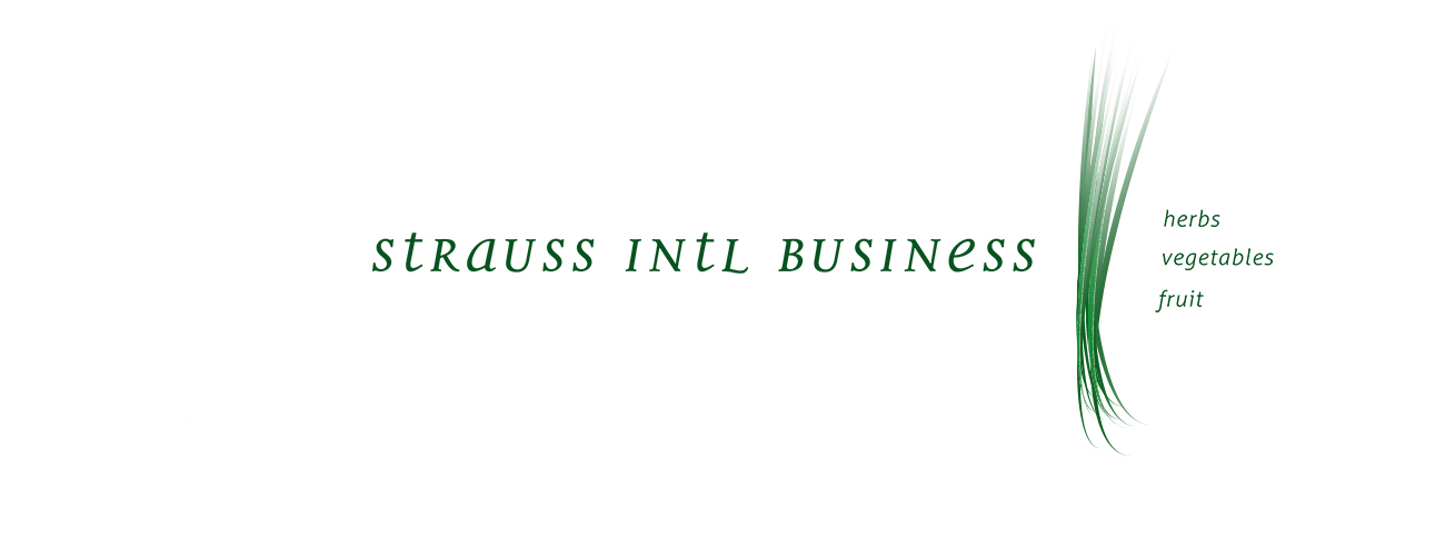 Wortbildmarke von „Strauss Intl.“