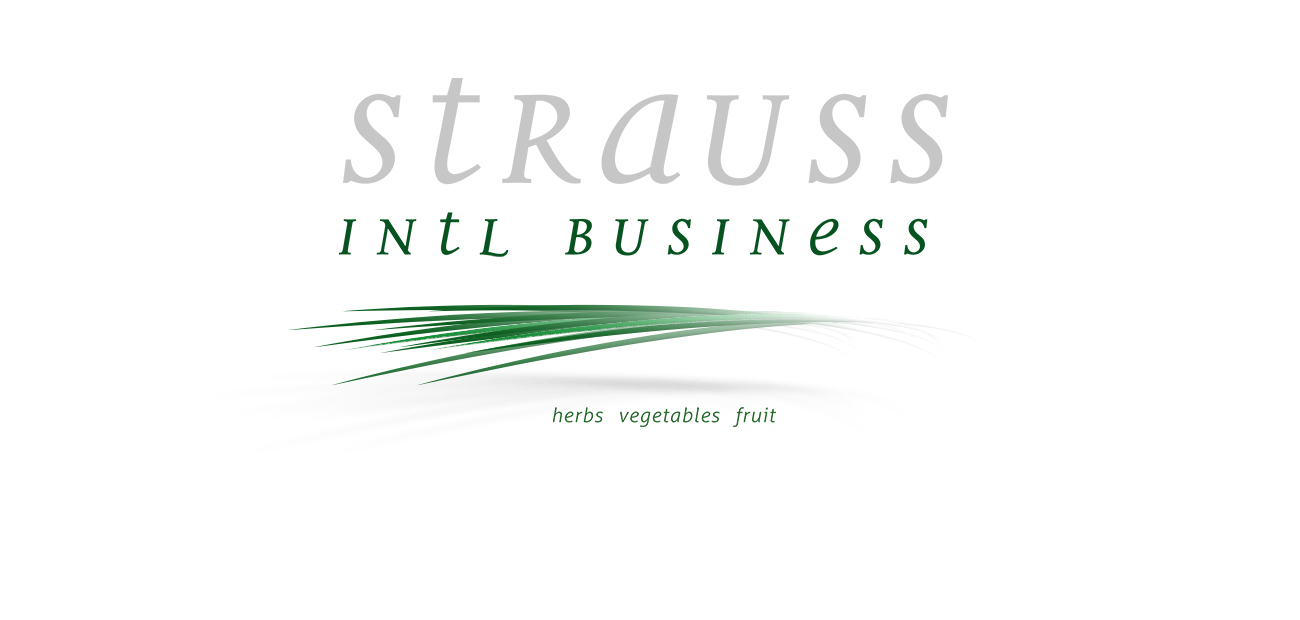Wortbildmarke von „Strauss Intl.“