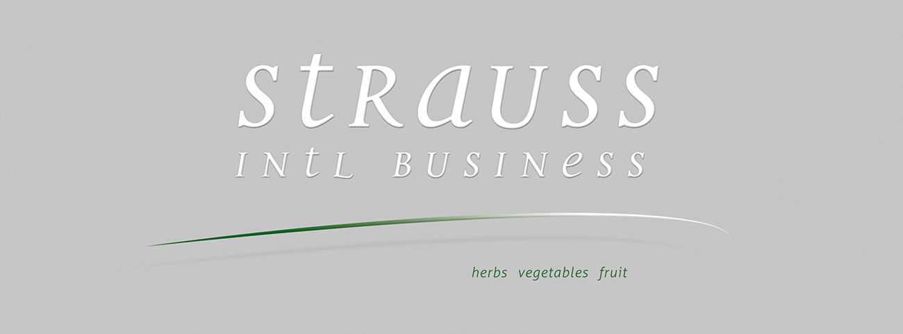 Wortbildmarke von „Strauss Intl.“