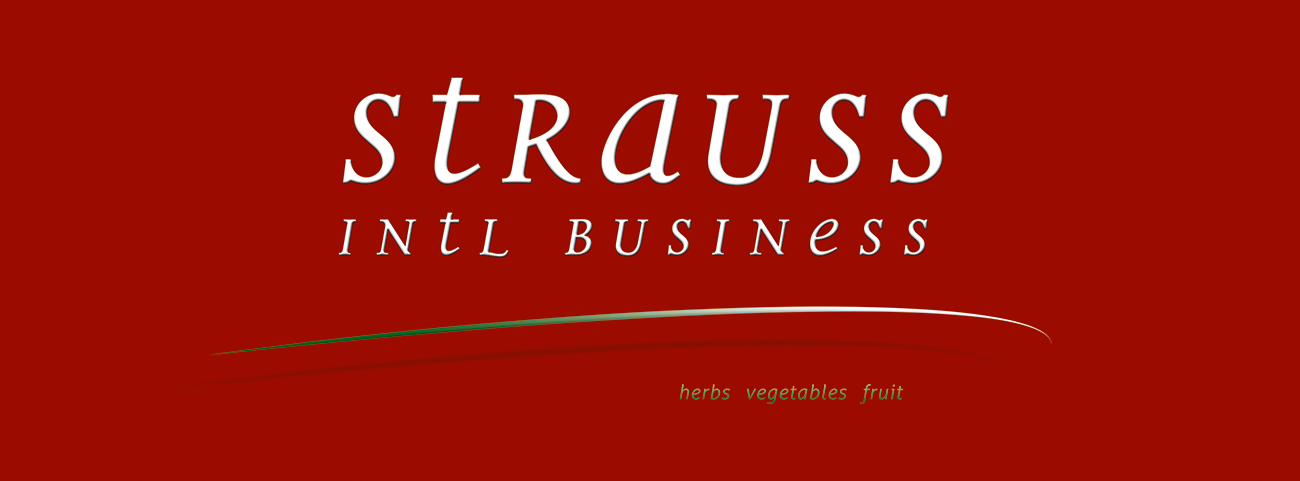 Wortbildmarke von „Strauss Intl.“
